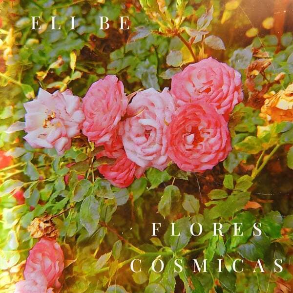 Cover art for Flores Cósmicas