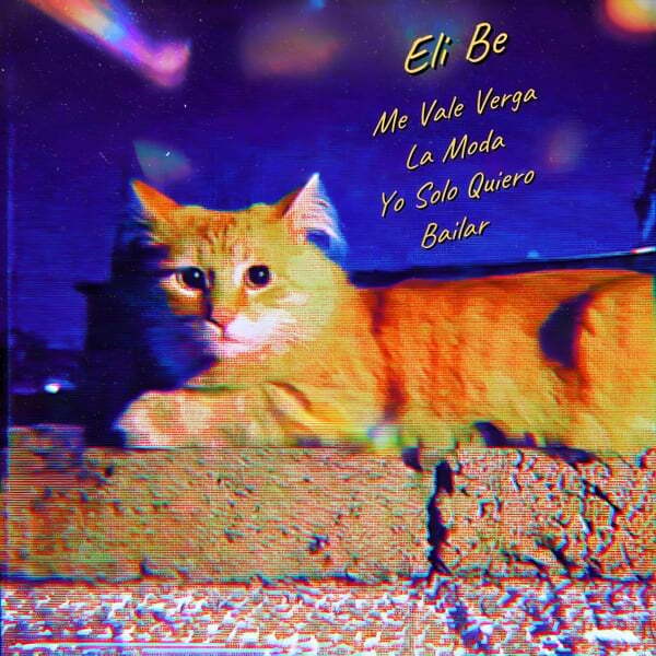 Cover art for Me Vale Verga La Moda Yo Solo Quiero Bailar